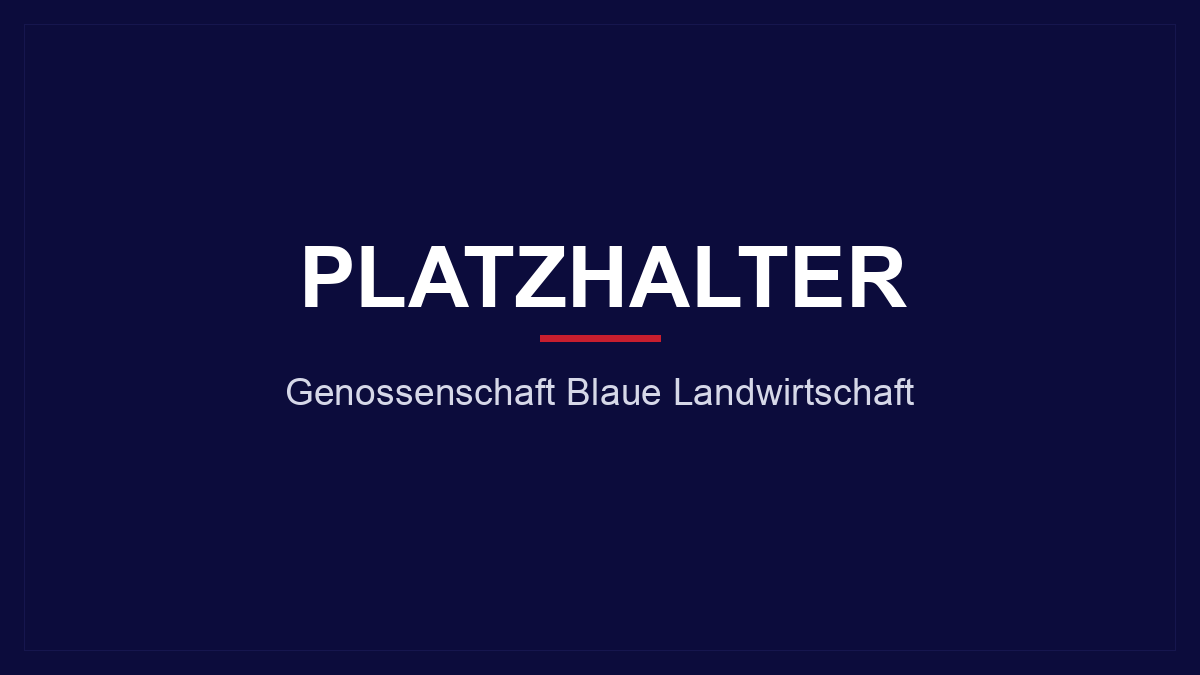 Platzhalter — wird ersetzt